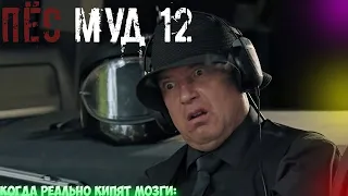 ПЁС муд 12