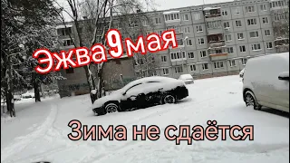 9 мая  / Эжва непарадная