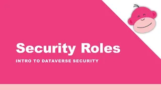 Dataverse Security: Security Roles