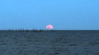 Moonrise at Hughlett's Point Feb 2016