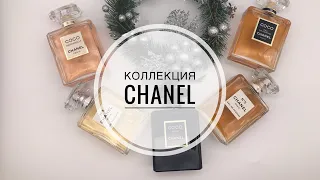 МОЯ ОГРОМНАЯ КОЛЛЕКЦИЯ CHANEL (2 ЧАСТЬ)