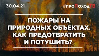 Пожары на природных объектах. Как потушить и предотвратить  #проПоходТВ 30.04.2021