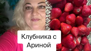 КЛУБНИКА С АРИНОЙ🍓🍓🍓И ОТВЕТЫ НА КОММЕНТАРИИ #комментарии #подпишись