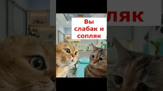 Когда у тебя насморк #рекомендации#рек#youtubeshorts#shorts#тренды#приколы#котики