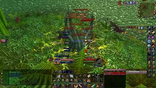 Turtle WoW - Prot Pally solo zg croc packs