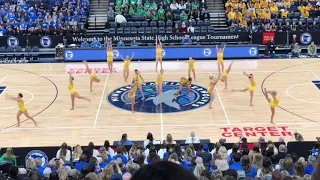 Eastview Dance Team Jazz State 2019