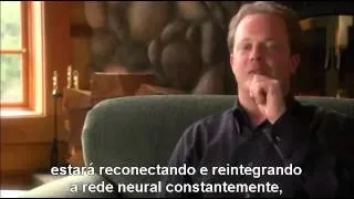 QUEM SOMOS NÓS - DOCUMENTÁRIO LEGENDADO