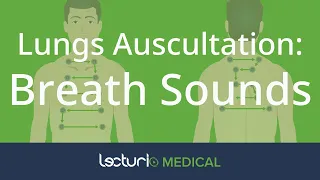 How To Auscultate The Lungs: Differentiating Breath Sounds | Physical Examination