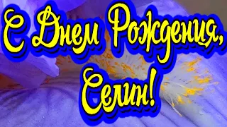 С Днем Рождения, Селин! Новинка! Прекрасное видео поздравление! СУПЕР ПОЗДРАВЛЕНИЕ!