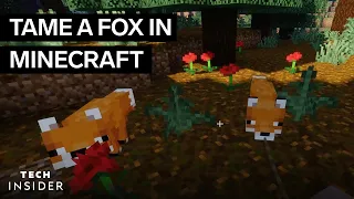 How To Tame A Fox In Minecraft