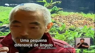 The biggest planted aquarium in the world _ subtitled documentary RTP