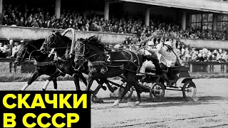 Кровавые скачки в СССР. Тотализатор, черные букмекеры и «зарядчики»