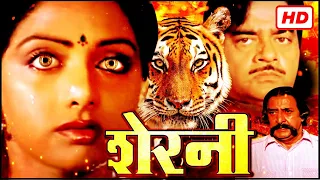 श्रीदेवी की ९०'s की सबसे बड़ी सुपरहिट ब्लॉकबस्टर हिंदी मूवी - SRIDEVI BLOCKBUSTER HINDI MOVIE SHERNI