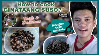 GINATAANG SUSO in ILOCANO VERSION | GINATAANG SUSONG PILIPIT | PINOY RECIPE | Joshua Estomo