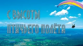 С высоты птичьего полёта