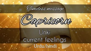 CAPRICORN ♑️ LOVE ❤️ UNKI CURRENT FEELINGS TIMELESS URDU/HINDI #tarot #capricorn #horoscope