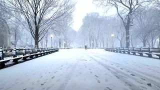 Live NYC Walk: Snowstorm in Manhattan - Feb 13, 2024