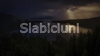 DJ Project feat. Andia - Slabiciuni #Versuri