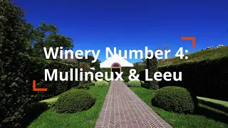 Video 8: Wine Tasting In Franschhoek SA