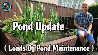 Pond Update ( Loads Of Pond Maintenance )