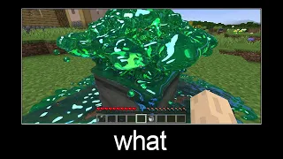 Minecraft wait what meme part 1 realistic minecraft Warden