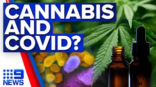 Medicinal cannabis research into fighting long COVID | Coronavirus | 9 News Australia