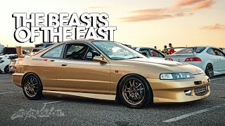 The Beasts Of WEKFEST EAST...