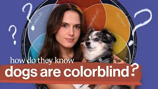 How do they know dogs are colorblind? (w/ Cleo Abram)