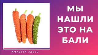 ВАУ, это растет на ЗАБОРЕ на БАЛИ!  Перец пиппали. Перец длинный. Перец лонг