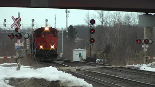 CN Train 305 Westbound March 12, 2023