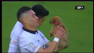 Colo Colo salió a la cancha con perros