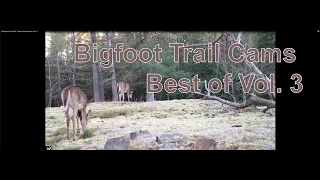 My Bigfoot Story Ep.107 - Bigfoot Trail Cams Best of Vol  3