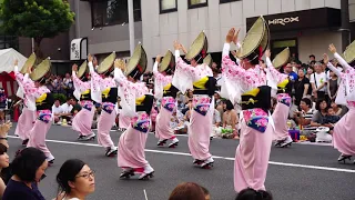 高円寺阿波おどりTokyo dance Koenji Awa Odori（dance） Festival 東京観光 夏祭り