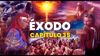 🎧 BIBLIA EN AUDIO "ÉXODO CAPÍTULO 35" El pueblo trae la ofrenda | RV60