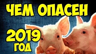 ЧЕМ ОПАСЕН 2019 ГОД ЖЕЛТОЙ ЗЕМЛЯНОЙ СВИНЬИ 🐽