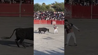Joaquin Cortes esperando la vaca de Salida en la Vall D’Uixo 2024
