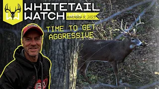 Weekend Forecast 11/11-11/12 - Time to Get More Aggressive | Whitetail Watch