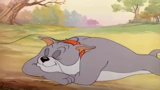 Tom and jerry English Episode 116