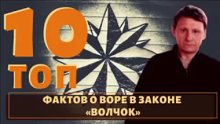 Раскороновал "Сашу Севера"! ТОП 10 фактов о воре в законе "Волчок"!