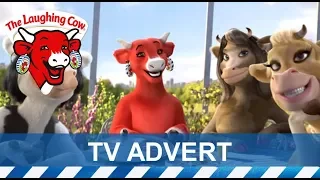 The Laughing Cow with Cheddar | UK TV Advert| 2013