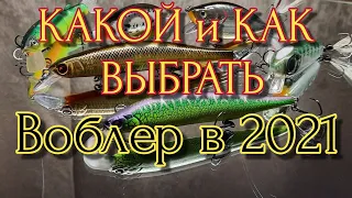 КАК и КАКОЙ ВОБЛЕР ВЫБРАТЬ В 2021 | ТОП ЛУЧШИХ НОВИЧКУ | Fishing | Kosadaka | Рыбалка