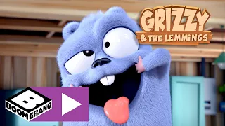 Grizzy et les Lemmings 🇫🇷 | Bébé ours | Boomerang