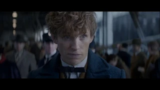 Newt Scamander AMV - Thunder