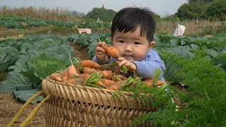 Harvest carrots, eat pho, wash your hair, wash your face and massage your face