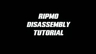 Ripmo Disassembly Tutorial