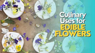 Culinary Uses for Edible Flowers