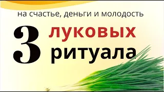 Лук избавит от безденежья, подарит молодость и отведёт напасти