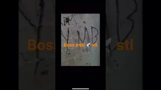 Rare video and voice of boss trell stl/Ebt