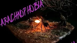 Diorama :Arachnophobia #spider #diorama #fear #resin art #3dprinting #model #creepy #phobia #レジン