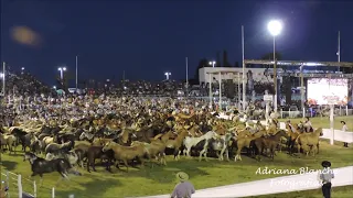 48° Festival Nacional de jineteada y Folklore de Diamante - Entabladas